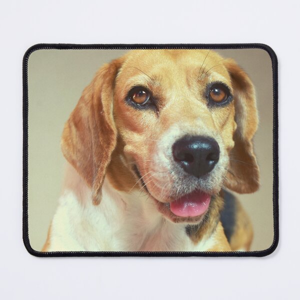 Item preview, Cute Beagle Posing designed and sold by TheAnimalZ00.