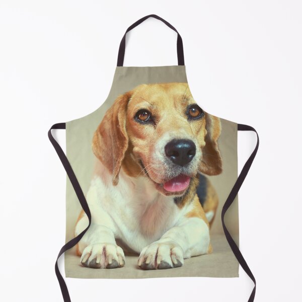 Item preview, Cute Beagle Posing designed and sold by TheAnimalZ00.