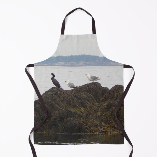 Item preview, Cormorant and Two Seagulls on Seaweed Covered Rock in Bay of Fundy designed and sold by gistinker.