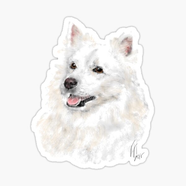 Smiling American Eskimo Eskie Pooch Sticker