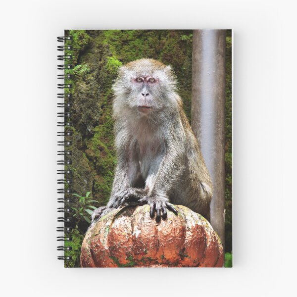Item preview, Monkey Guard designed and sold by tomelliottyo.