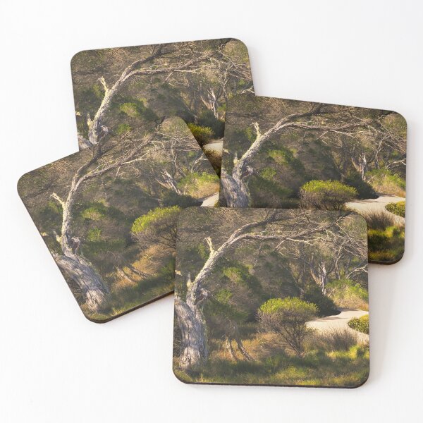 Item preview, Merimbula NSW Boardwalk designed and sold by rezenable.