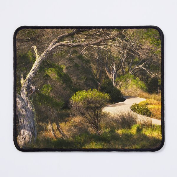 Item preview, Merimbula NSW Boardwalk designed and sold by rezenable.