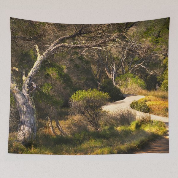 Item preview, Merimbula NSW Boardwalk designed and sold by rezenable.