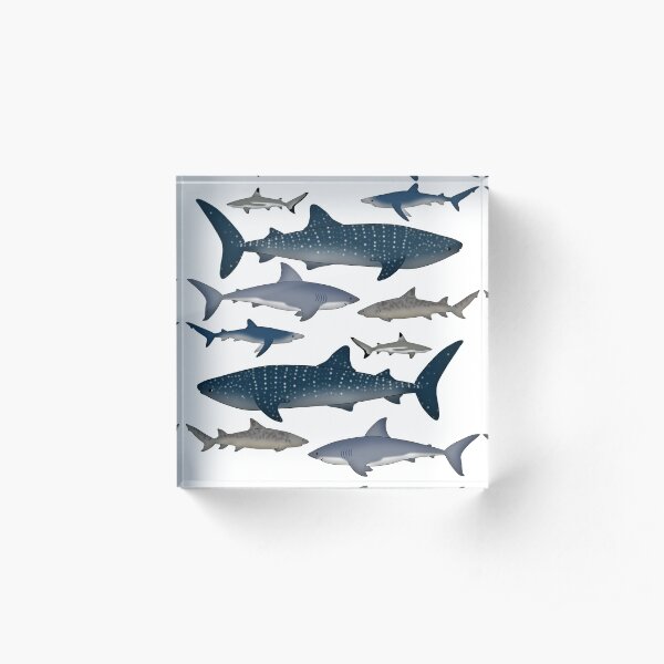sharks Acrylic Block