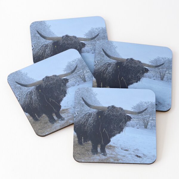 Item preview, Scottish Highland Cattle Bull 4703 designed and sold by SaarelaHighland.