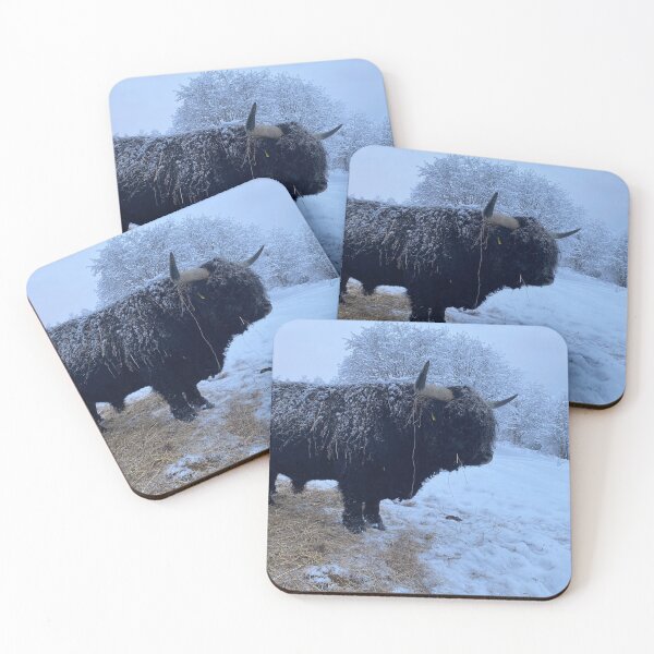 Item preview, Scottish Highland Cattle Bull 4704 designed and sold by SaarelaHighland.