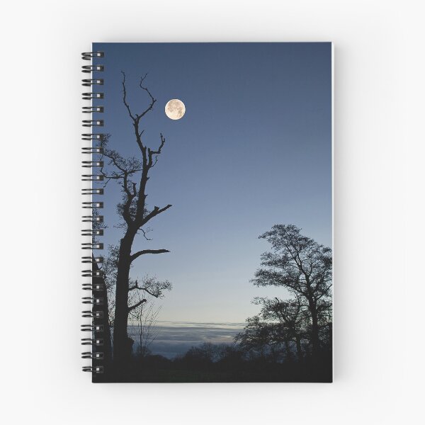 Item preview, Evening Moon designed and sold by mhfore.