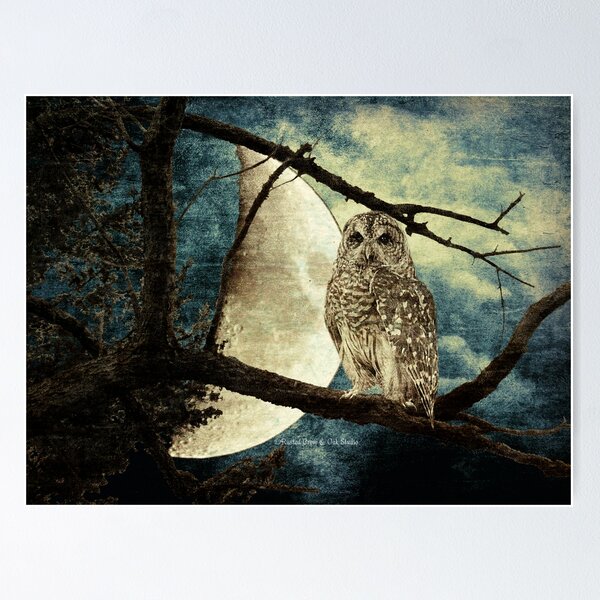 Item preview, Barred Owl Bird Night Moon Blue Tans Country Art A137 designed and sold by byNicol.
