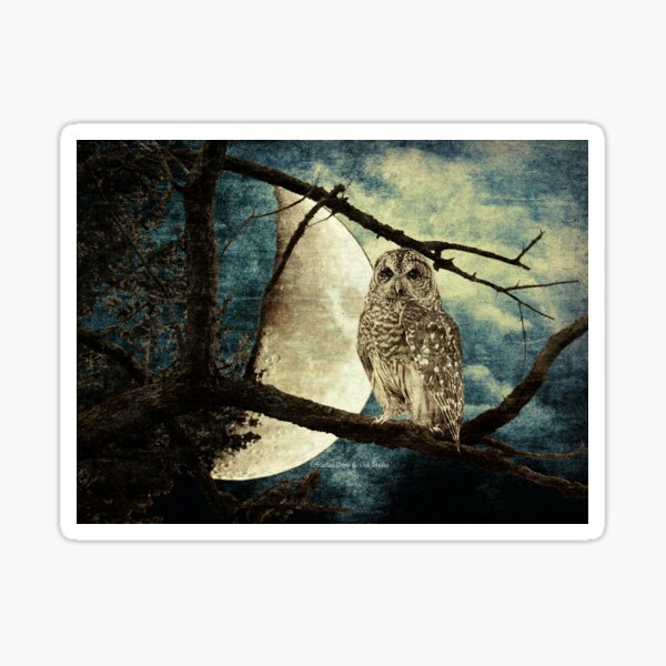 Item preview, Barred Owl Bird Night Moon Blue Tans Country Art A137 designed and sold by byNicol.