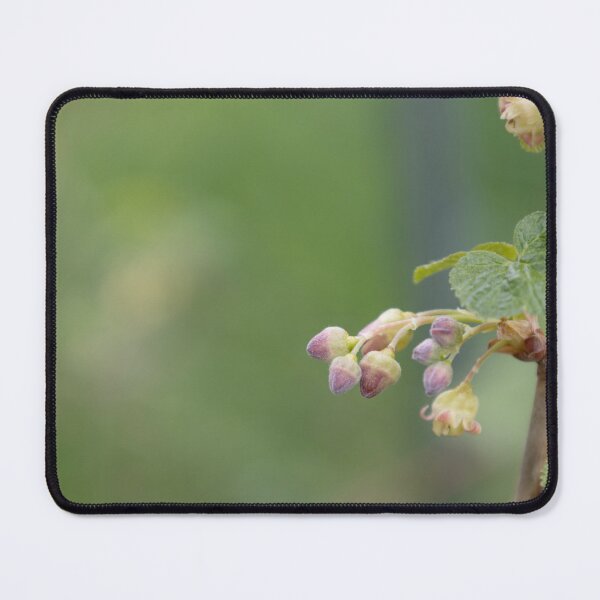 Item preview, Blackcurrant designed and sold by Calidris Fotografie Steffi & Ben Köppler.