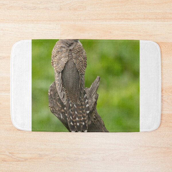 Item preview, Juvenile Cuckoo designed and sold by JLP ARTWORKS.