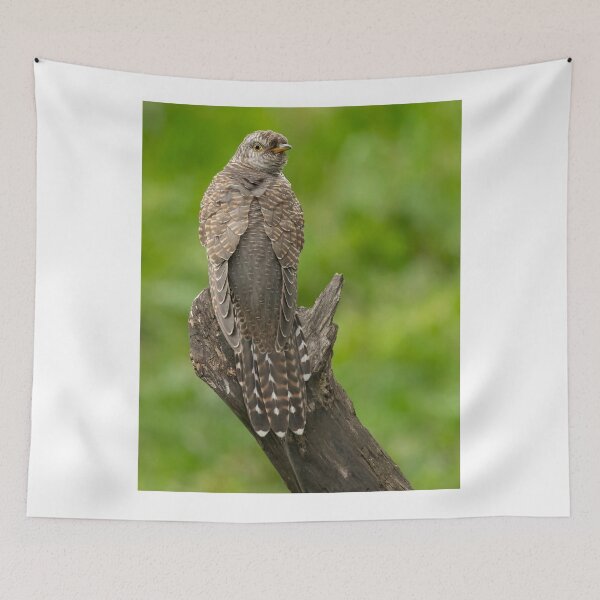 Item preview, Juvenile Cuckoo designed and sold by JLP ARTWORKS.