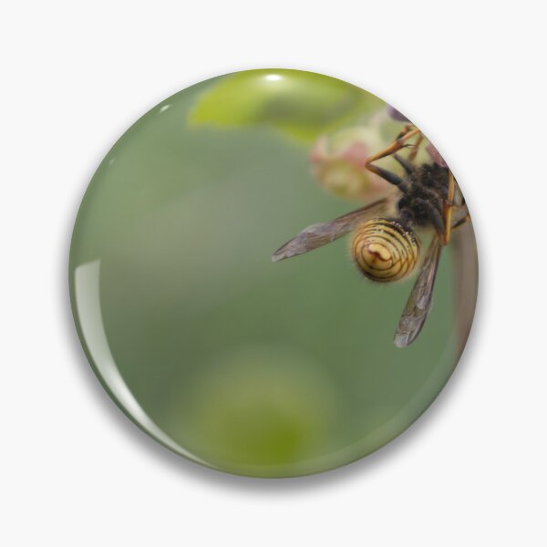 Item preview, Common Wasp designed and sold by Calidris Fotografie Steffi & Ben Köppler.