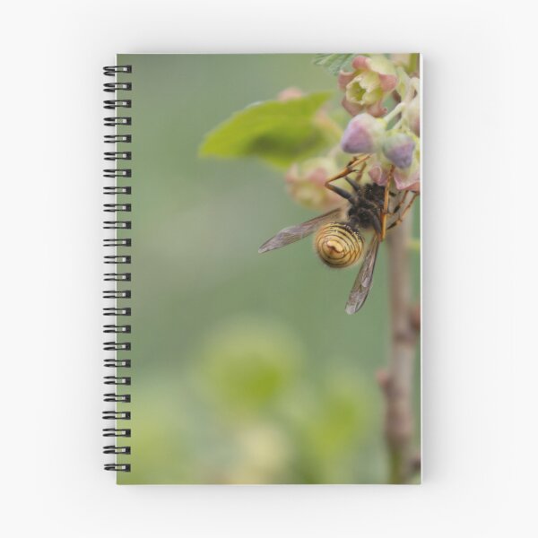 Item preview, Common Wasp designed and sold by Calidris Fotografie Steffi & Ben Köppler.