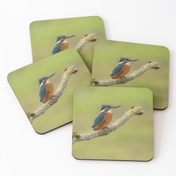 Item preview, Juvenile Kingfisher perching over Hollingworth Lake designed and sold by JLP ARTWORKS.