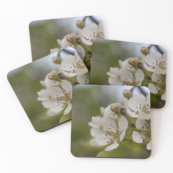 Item preview, Florecer designed and sold by Calidris Fotografie Steffi & Ben Köppler.