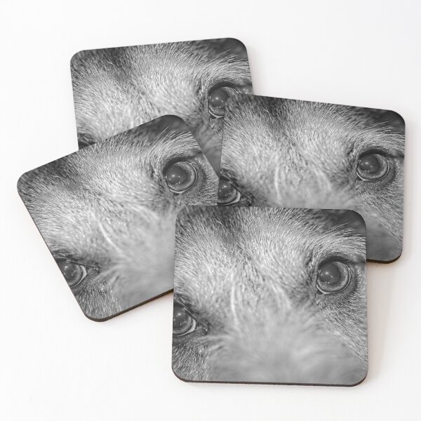 Item preview, Window to a dogs's soul black and white. designed and sold by noblephoto.