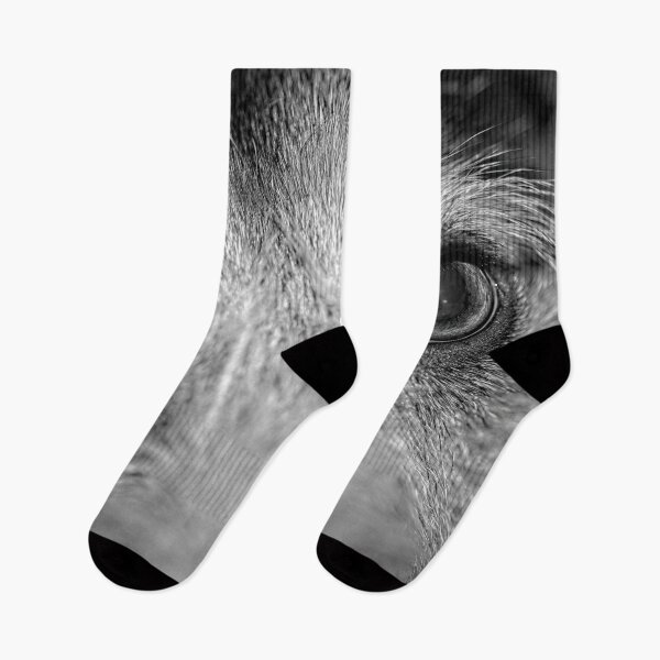 Item preview, Window to a dogs's soul black and white. designed and sold by noblephoto.