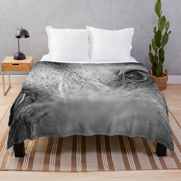 Item preview, Window to a dogs's soul black and white. designed and sold by noblephoto.