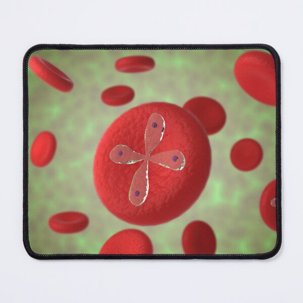 Item preview, STK701572H-Babesia parasties infecting red blood cells. designed and sold by StocktrekImages.