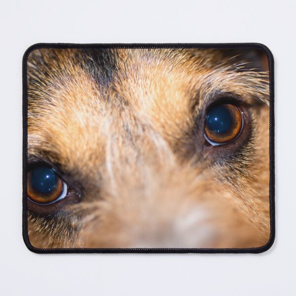 Item preview, Copy of Window to a dogs's soul in color. designed and sold by noblephoto.