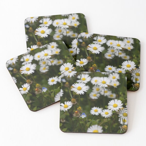 Item preview, Daisies designed and sold by Calidris Fotografie Steffi & Ben Köppler.
