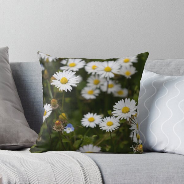 Item preview, Daisies designed and sold by Calidris Fotografie Steffi & Ben Köppler.