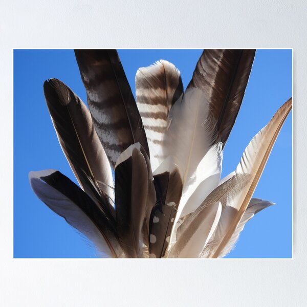 Item preview, Feathers from different birds in a blue sky designed and sold by Infinity81.
