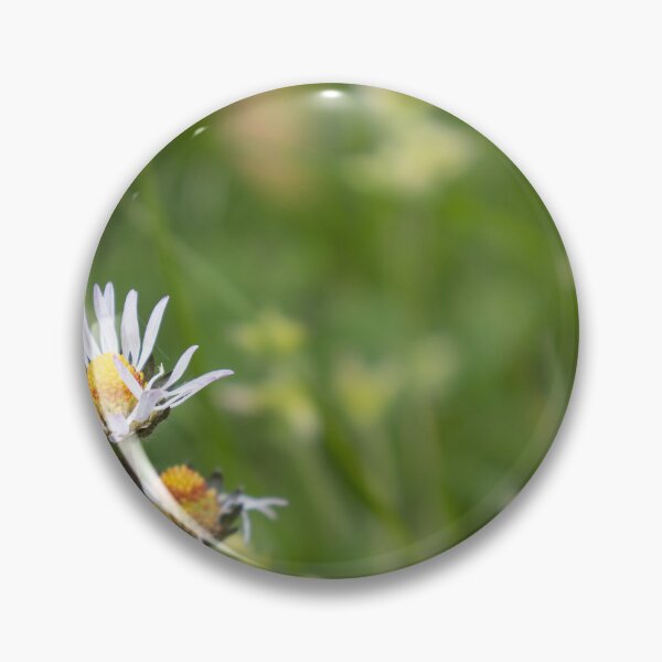 Item preview, Daisies designed and sold by Calidris Fotografie Steffi & Ben Köppler.