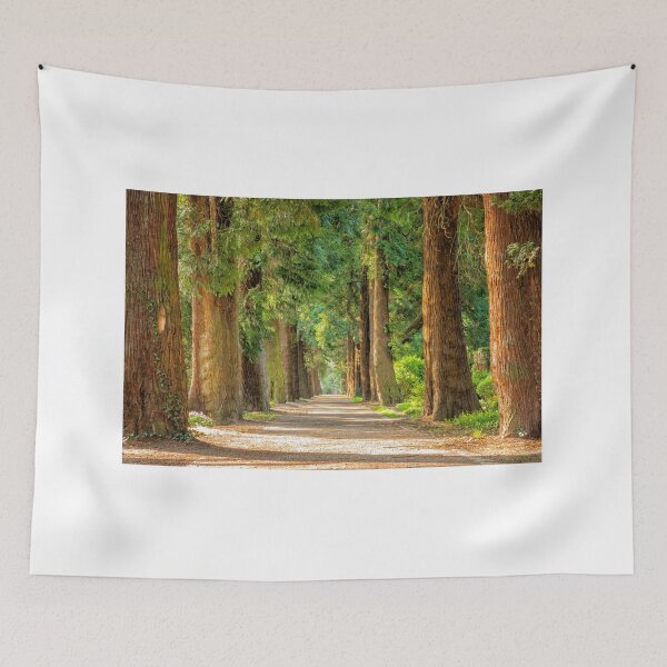 Item preview, Path in the forest designed and sold by jsebouvi.