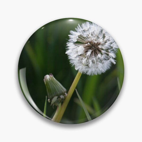 Item preview, Blowball designed and sold by Calidris Fotografie Steffi & Ben Köppler.