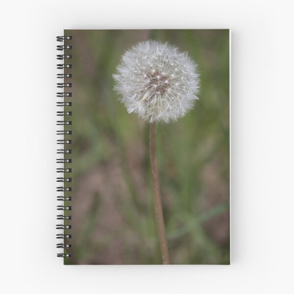 Item preview, Blowball designed and sold by Calidris Fotografie Steffi & Ben Köppler.