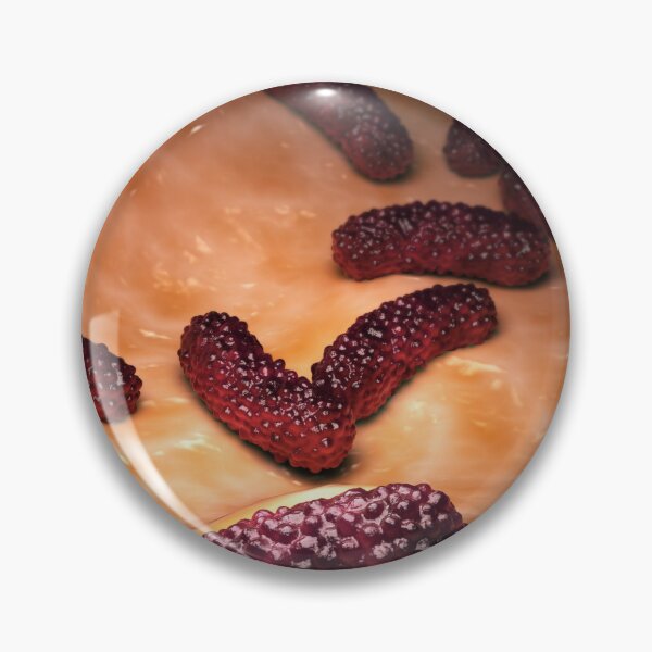 Item preview, STK701580H-Bacteria Bordetella pertussis on surface. designed and sold by StocktrekImages.