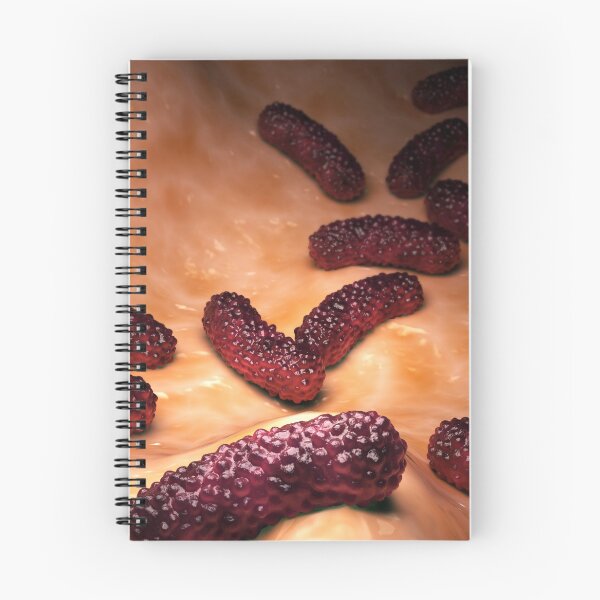 Item preview, STK701580H-Bacteria Bordetella pertussis on surface. designed and sold by StocktrekImages.