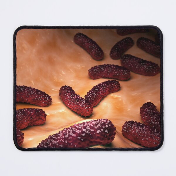 Item preview, STK701580H-Bacteria Bordetella pertussis on surface. designed and sold by StocktrekImages.
