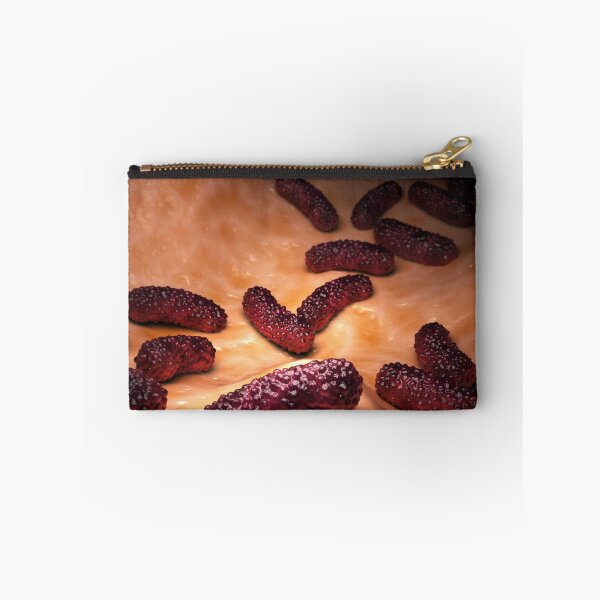 Item preview, STK701580H-Bacteria Bordetella pertussis on surface. designed and sold by StocktrekImages.