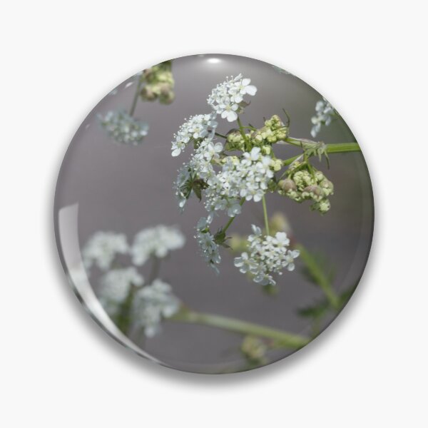 Item preview, Wild Chervil designed and sold by Calidris Fotografie Steffi & Ben Köppler.