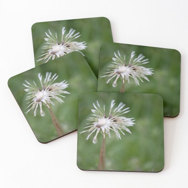 Item preview, Wet Blowball designed and sold by Calidris Fotografie Steffi & Ben Köppler.
