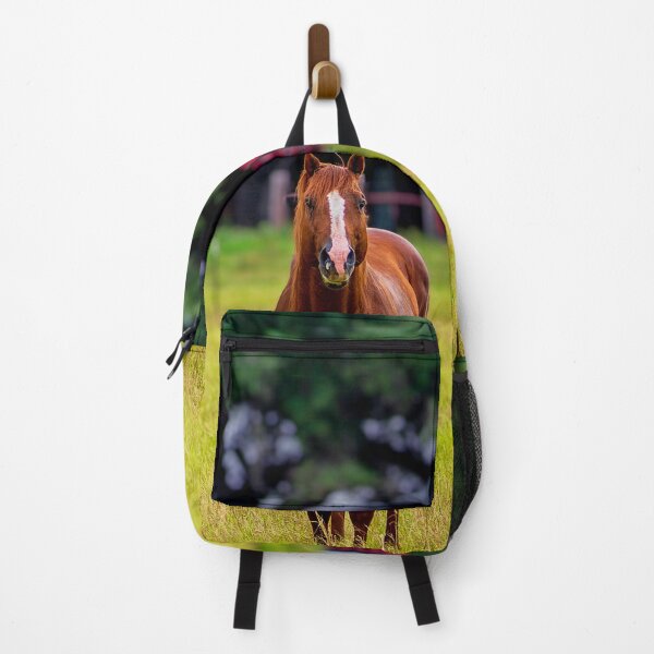 Item preview, Horse standing in front of barn designed and sold by noblephoto.