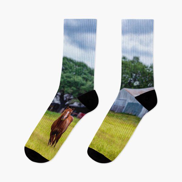 Item preview, Horse standing in front of barn designed and sold by noblephoto.