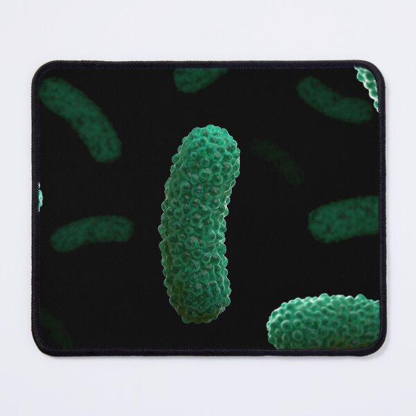 Item preview, STK701584H-Bacteria Bordetella pertussis. designed and sold by StocktrekImages.