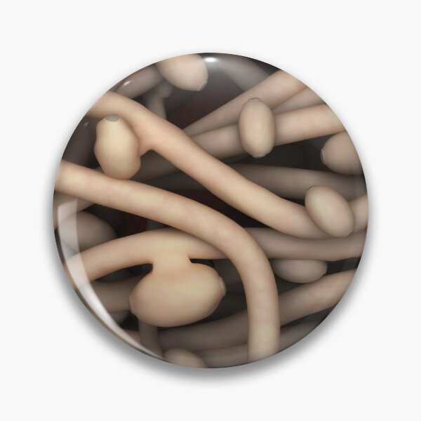 Item preview, STK701587H-Illustration of Candida albicans. designed and sold by StocktrekImages.