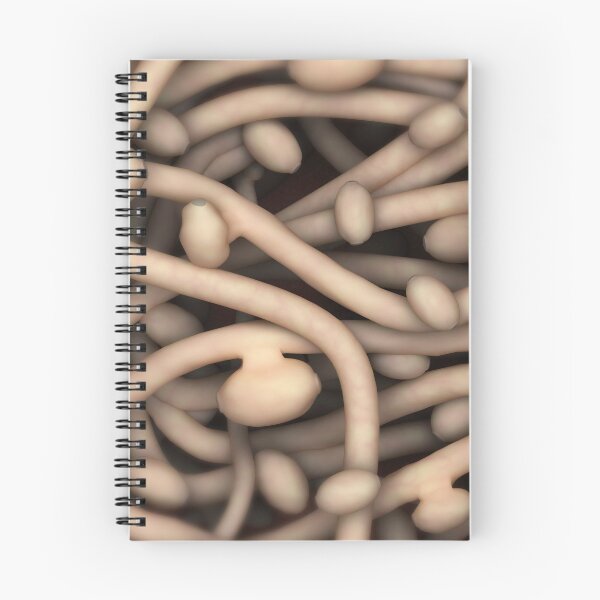Item preview, STK701587H-Illustration of Candida albicans. designed and sold by StocktrekImages.