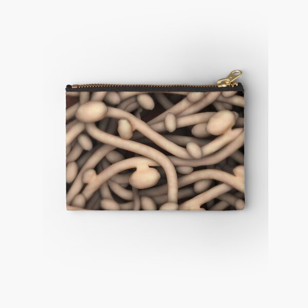 Item preview, STK701587H-Illustration of Candida albicans. designed and sold by StocktrekImages.
