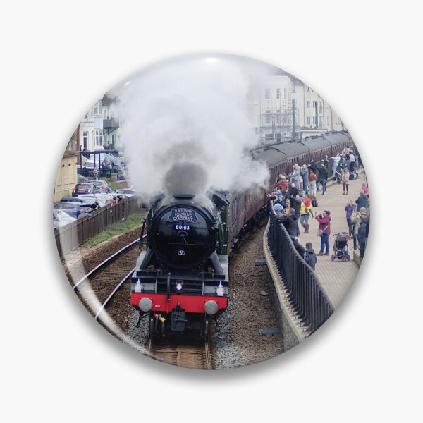 Item preview, The Flying Scotsman at Dawlish designed and sold by rosiephotos.