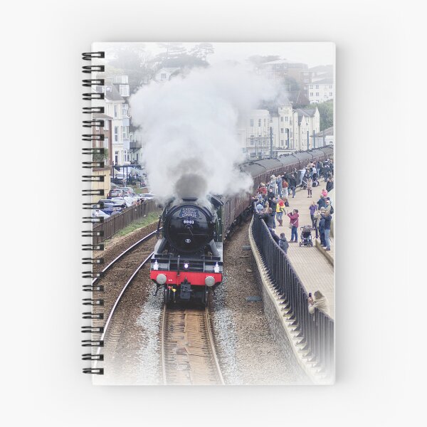 Item preview, The Flying Scotsman at Dawlish designed and sold by rosiephotos.