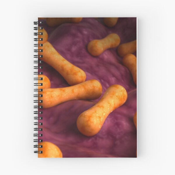 Item preview, STK701589H-Corynebacterium tenuis bacteria. designed and sold by StocktrekImages.
