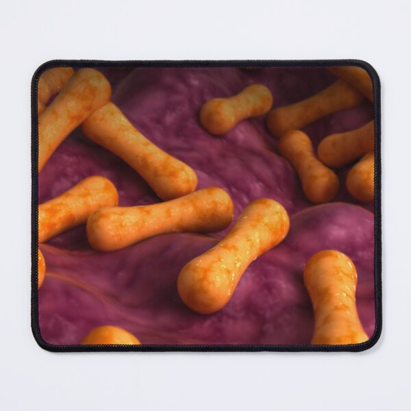 Item preview, STK701589H-Corynebacterium tenuis bacteria. designed and sold by StocktrekImages.