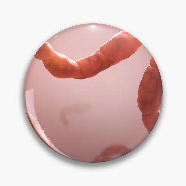 Item preview, STK701596H-Echinococcus parasites floating. designed and sold by StocktrekImages.